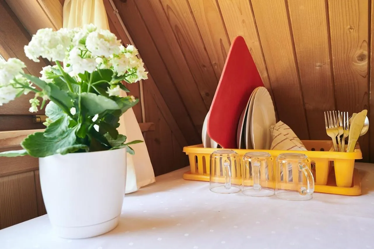Bed & Breakfast Willa U Perelki Zakopane
